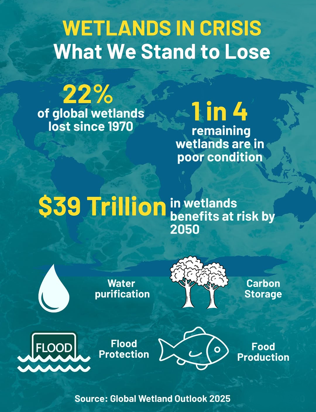 Global Wetland Crisis 