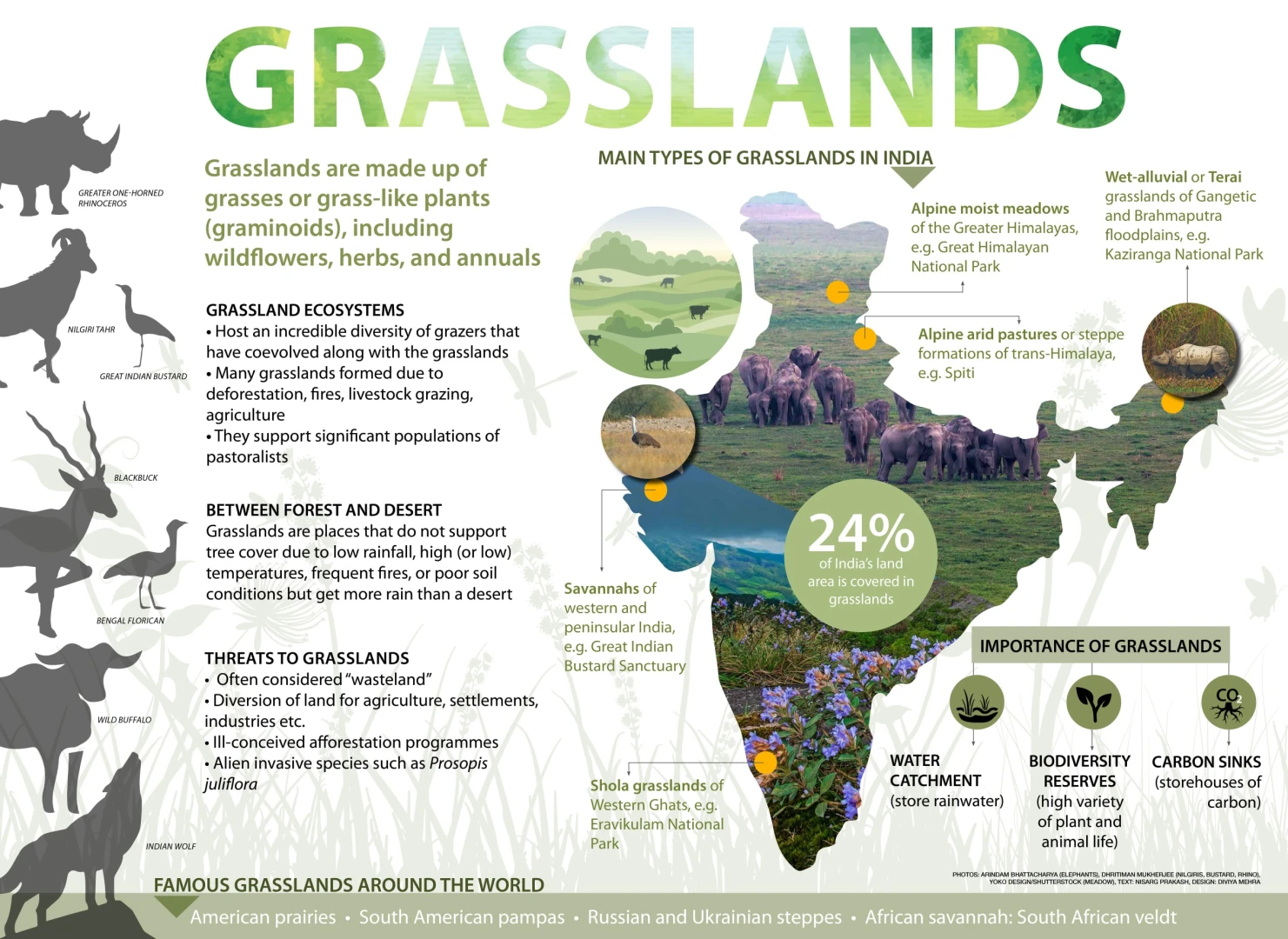 Need for National Climate Plans on Grasslands