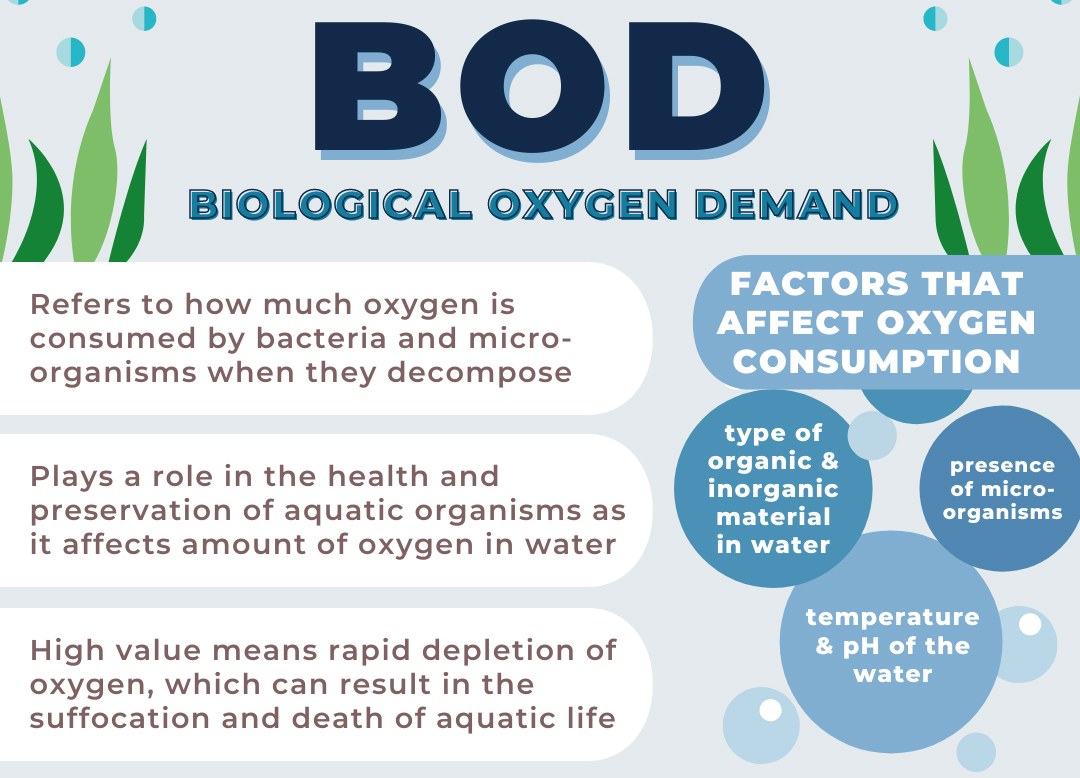  About Biochemical Oxygen Demand 