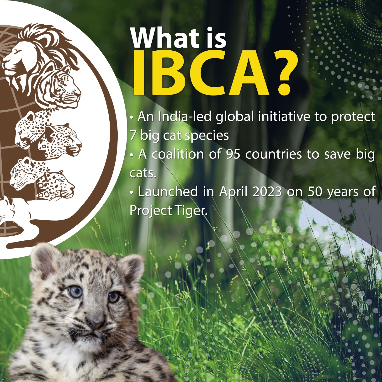 Nepal joins International Big Cat Alliance (IBCA)