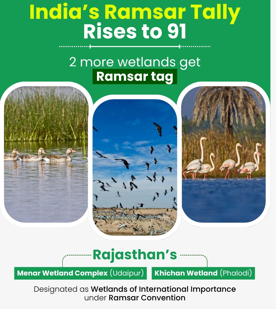 Context:  On World Environment Day, India added two new wetlands to its growing list of internationally recognized conservation areas under the Ramsar Convention. The newly designated Ramsar sites include Menar Wetland Complex in Udaipur and Khichan Wetland in Phalodi. This addition elevates the country’s tally of wetlands of international importance to 91.  About Ramsar Convention:  The Ramsar Convention, signed in 1971 in Ramsar, Iran, is an intergovernmental treaty aimed at the conservation and sustainable use of wetlands. Wetlands recognized under this treaty are known as Ramsar sites or wetlands of international importance.  According to the Convention, wetlands are broadly defined as:  “Areas of marsh, fen, peatland or water, whether natural or artificial, permanent or temporary, with water that is static or flowing, fresh, brackish or salt... including areas of marine water the depth of which at low tide does not exceed six metres.”  Wetlands designated under the Ramsar Convention must meet one or more of nine criteria, such as:  Representing rare or unique wetland types Supporting vulnerable, endangered, or critically endangered species Providing refuge for migratory birds and fish populations About Menar Wetland Complex:   Situated in southern Rajasthan, the Menar Wetland Complex consists of three main ponds — Braham Talab, Dhand Talab, and Kheroda Talab — interconnected through agricultural land that floods during the monsoon. This seasonal flooding transforms farmlands into vibrant habitats, supporting:  110 species of waterbirds, including 67 migratory species Notable birds such as the critically endangered white-rumped vulture and long-billed vulture About Khichan Wetland:  Located in the northern Thar Desert, the Khichan Wetland includes two main water bodies — Ratri Nadi and Vijaysagar Talab — along with riparian zones and scrubland. This arid landscape is uniquely adapted to host:  Over 150 bird species, many of which are migratory Massive wintering flocks of demoiselle cranes, with numbers exceeding 22,000 individuals annually Global and Asian Ranking:  Global Ranking: India(91) is ranked third globally, after the United Kingdom (176 sites) and Mexico (144 sites).  Asian Leadership: India leads Asia in the number of Ramsar sites.  Importance of Wetlands:  Wetlands are essential ecosystems that provide numerous benefits, including :  -         Biodiversity Conservation: Wetlands support diverse flora and fauna, and provide habitats for migratory birds.  -         Flood Control: Wetlands help regulate water flows, preventing floods and maintaining water quality.  -         Water Resources: Wetlands are a vital source of freshwater, supporting human consumption, agriculture, and industry.  -         Habitat for Migratory Birds: Wetlands provide crucial habitats for migratory birds, supporting their survival and migration patterns.  Conclusion:  India’s expanding Ramsar wetland count reflects its dedication to ecological sustainability. The recent additions underscore the importance of ongoing conservation initiatives, ensuring the protection of these critical ecosystems for future generations.