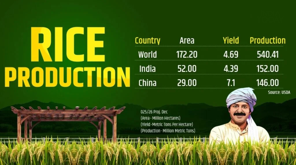 India Becomes the World&rsquo;s Largest Rice Producer
