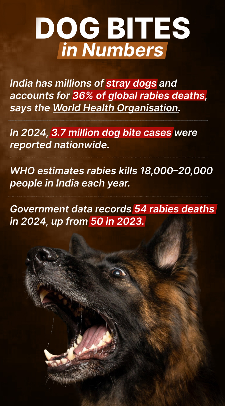 Supreme Court's Order on Stray Dogs