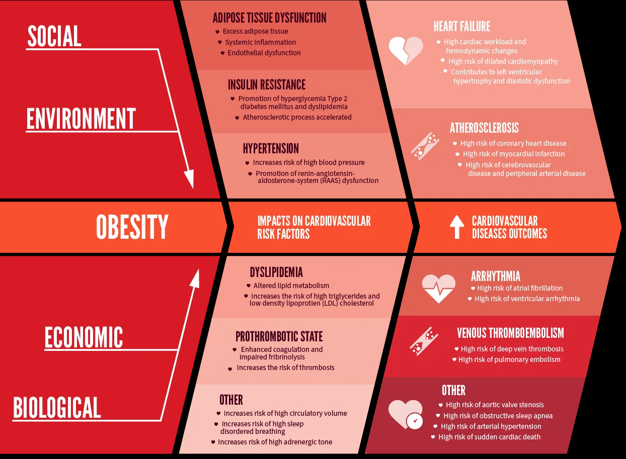The Rising Obesity Crisis in India: A Growing Public Health Concern