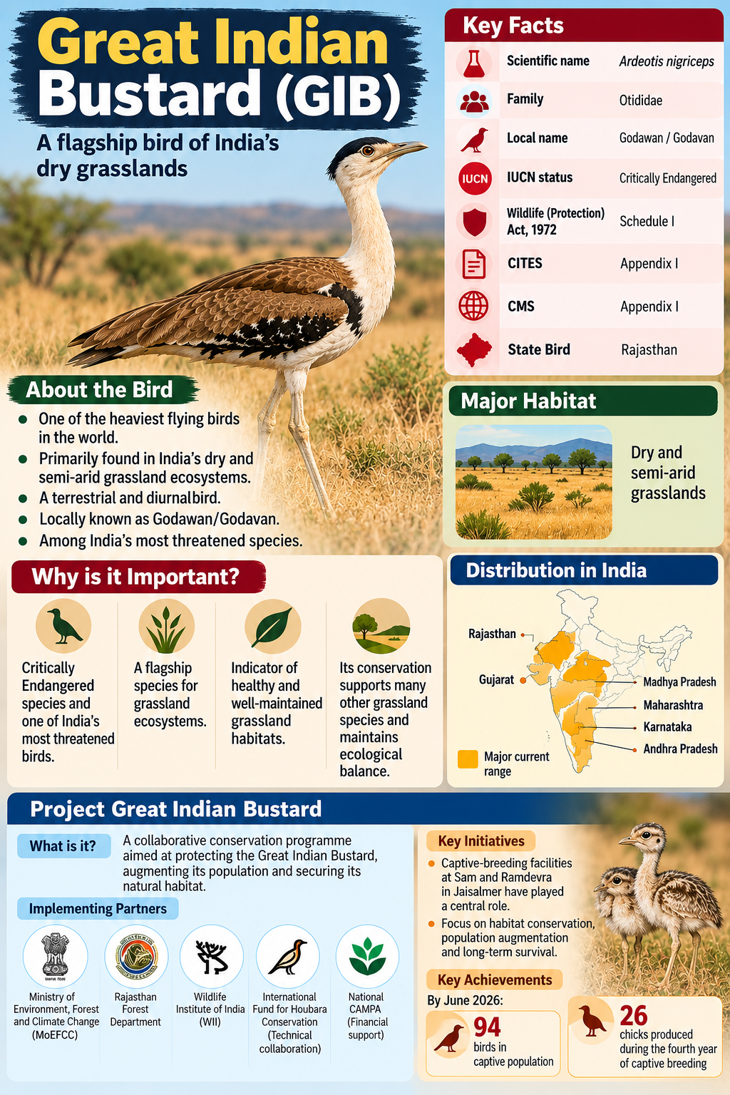 Great Indian Bustard (GIB) Great Indian Bustard (GIB)
