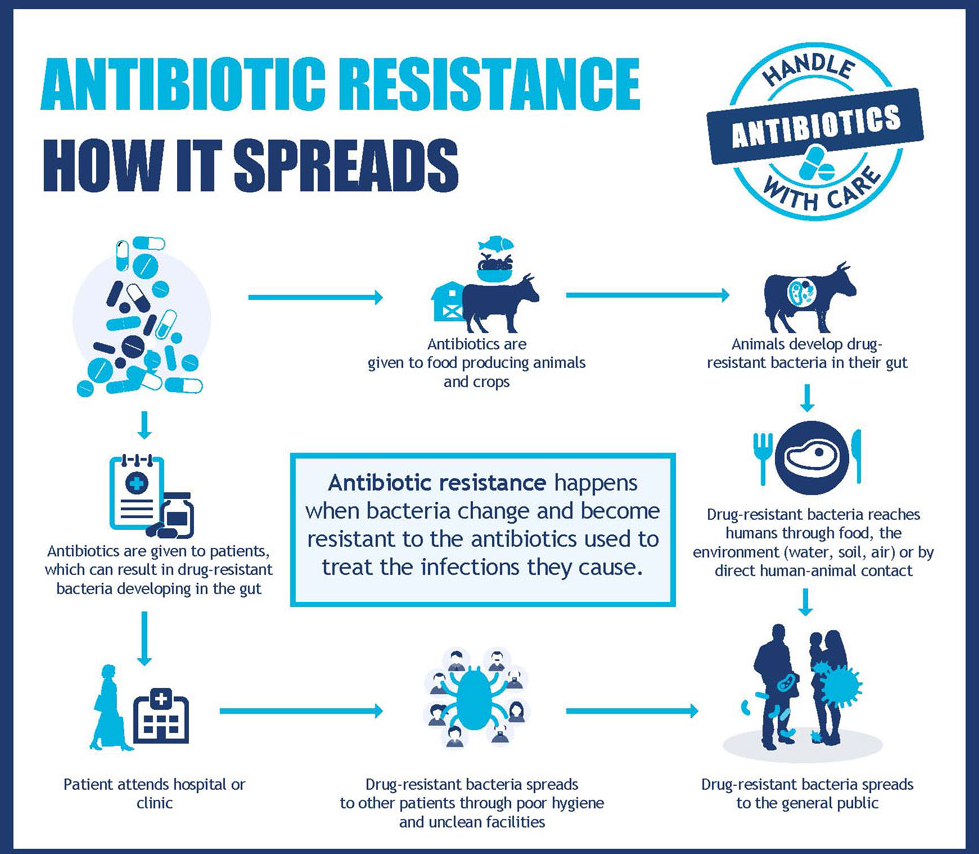 Antimicrobial Resistance (AMR) 