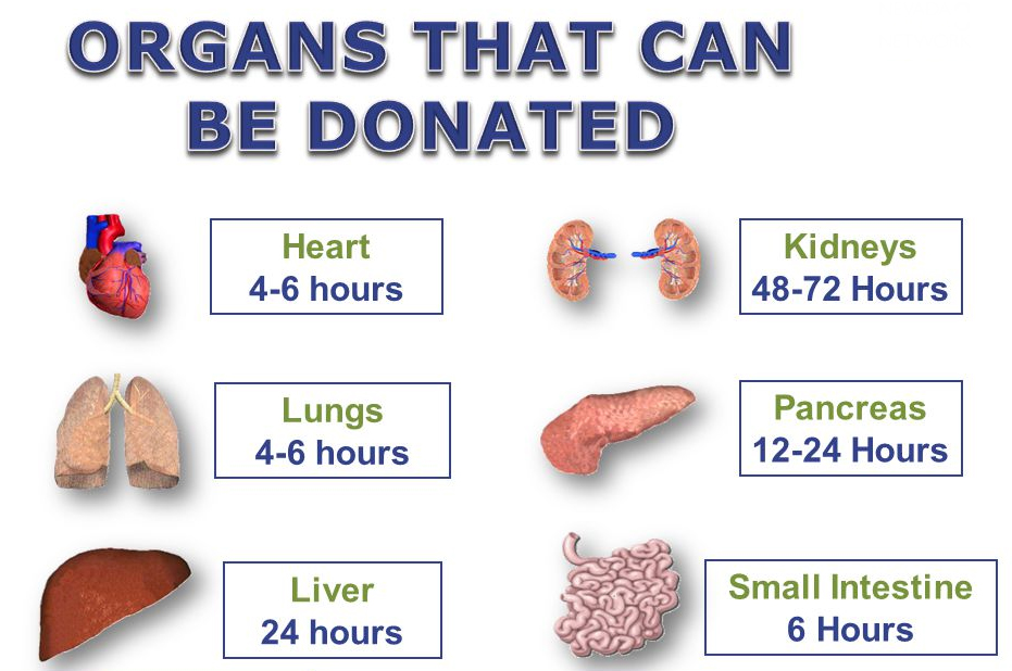Organ Transplantation in India