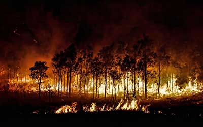 Young Volunteers Combining Tradition and Training to Battle Forest Fires