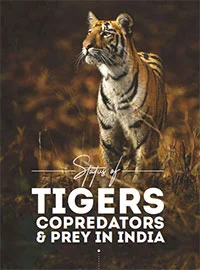 Detailed Report of Tiger Census