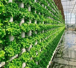 Vertical Farm